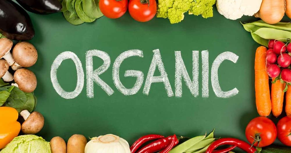 Organic là gì? Lợi ích và sản phẩm hữu cơ phổ biến hiện nay